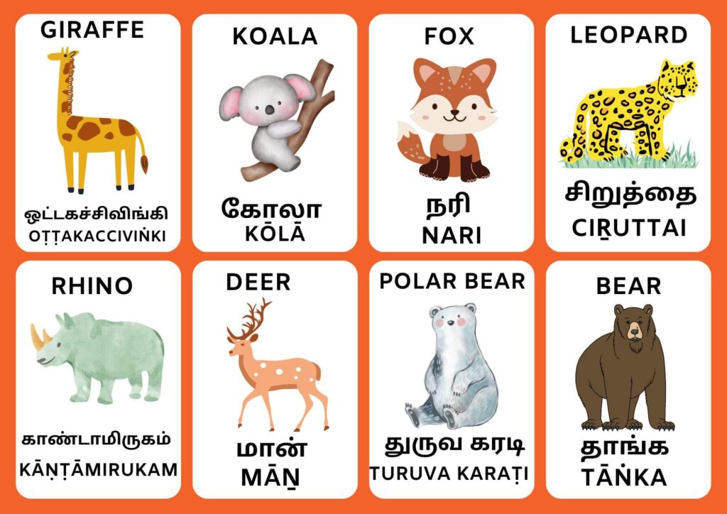 Animal Names in Tamil 