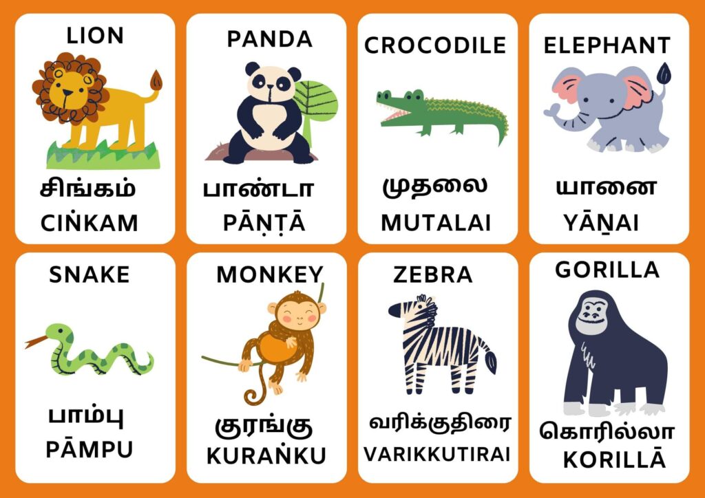 Animal Names in Tamil 