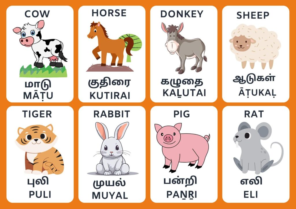 Animal Names in Tamil 