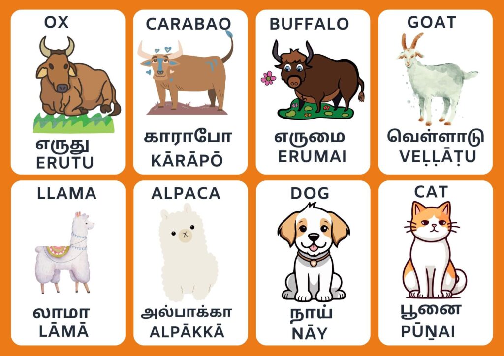 Animal Names in Tamil 