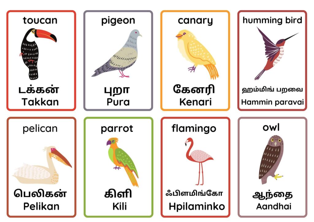 Discover Bird Names in Tamil