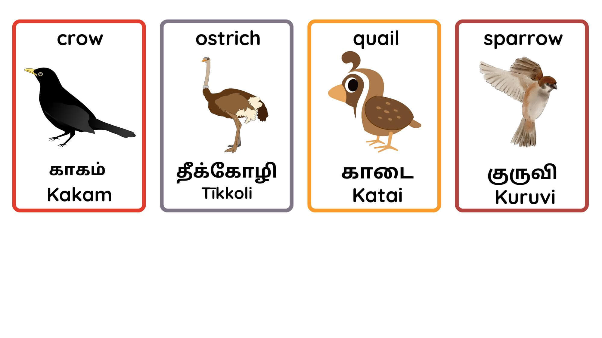 Discover Bird Names in Tamil