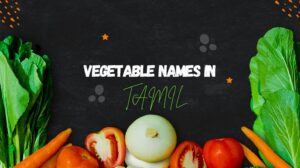 Vegetable Names in Tamil