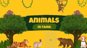 Learn Animal Names in Tamil