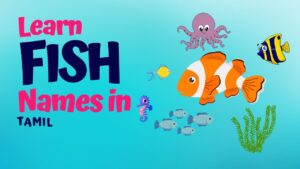 Learn fish names in tamil