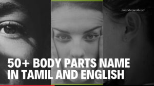 Body Parts Name in Tamil