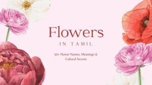 flower in tamil