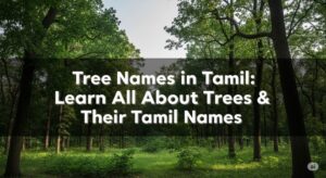 tree names in tamil